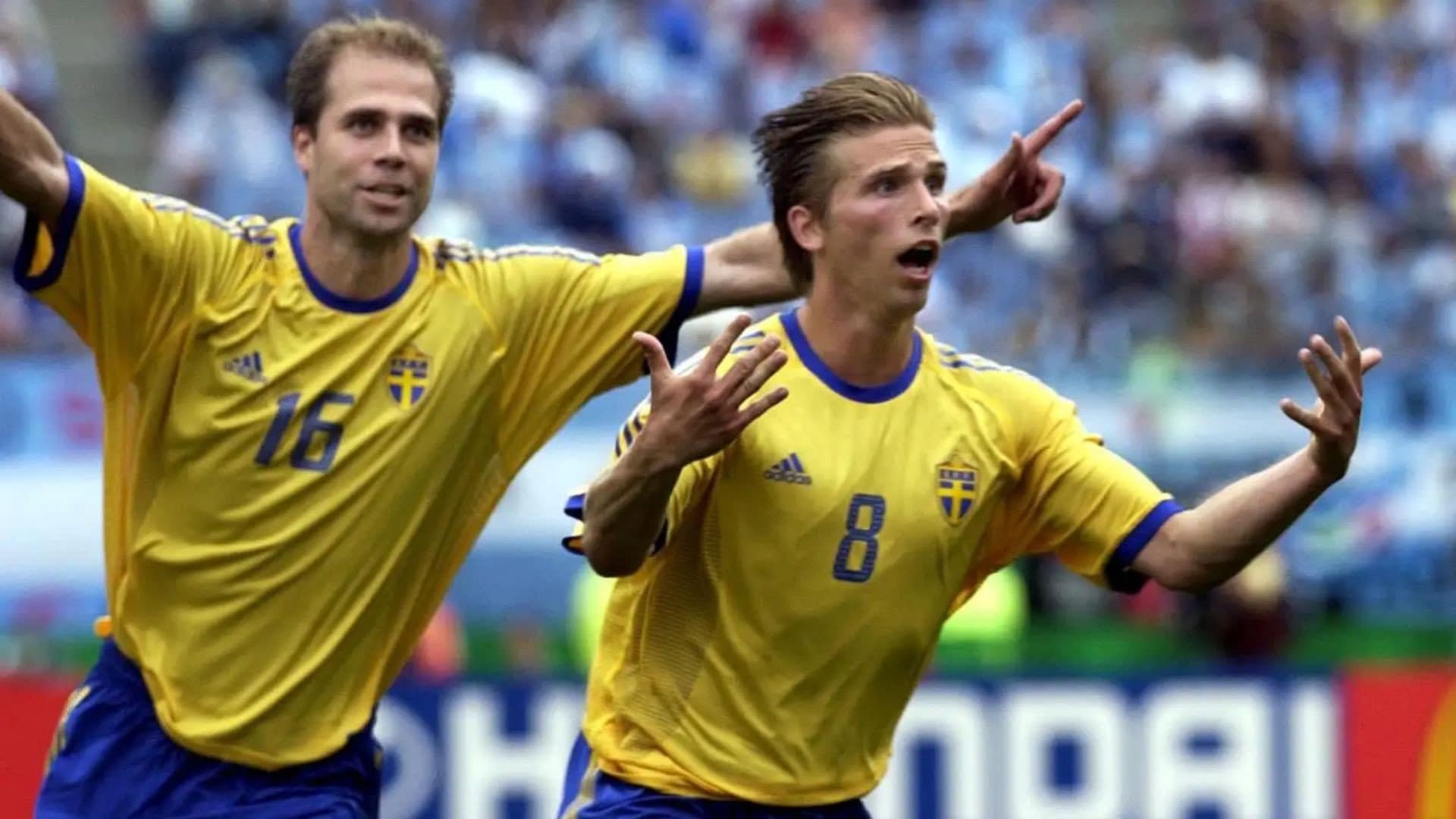 VM-krönika 2002 backdrop