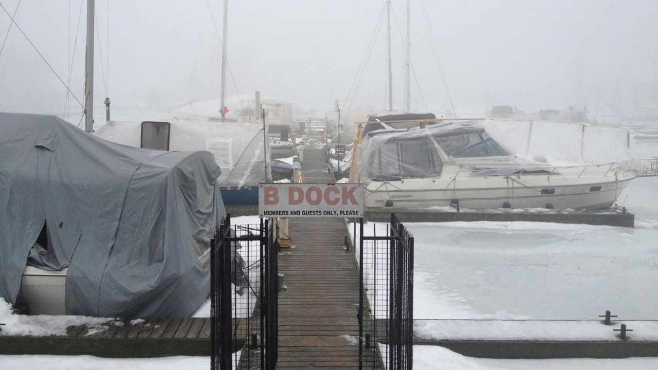 B Dock backdrop
