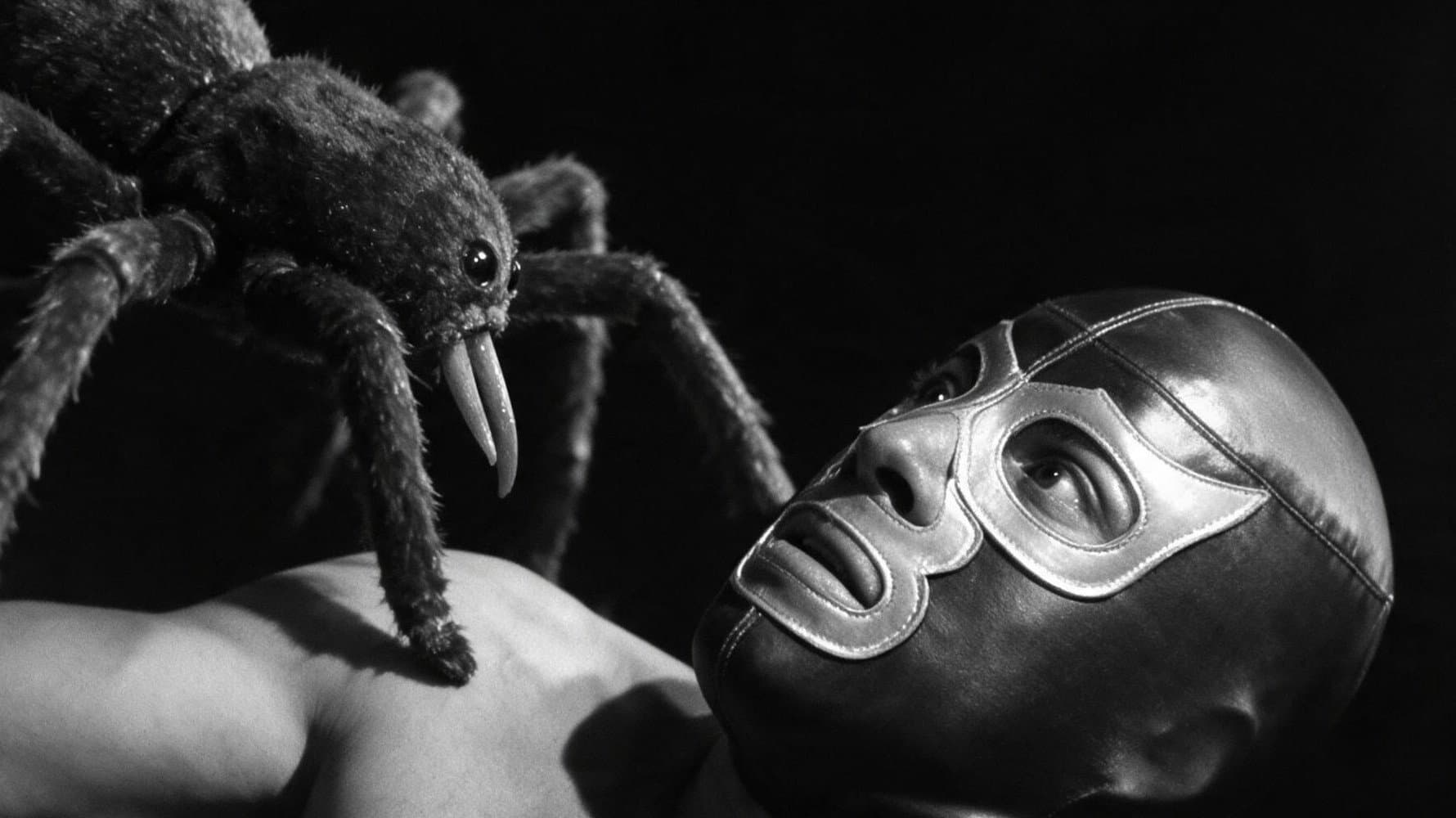 Hellish Spiders backdrop