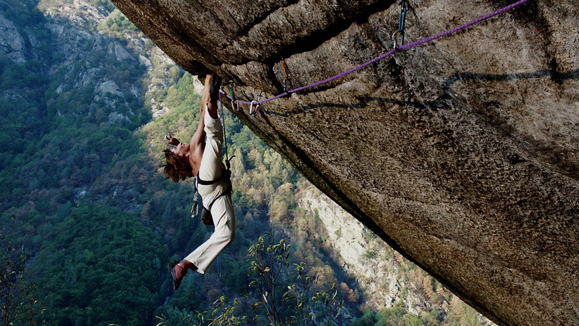 First Ascent backdrop