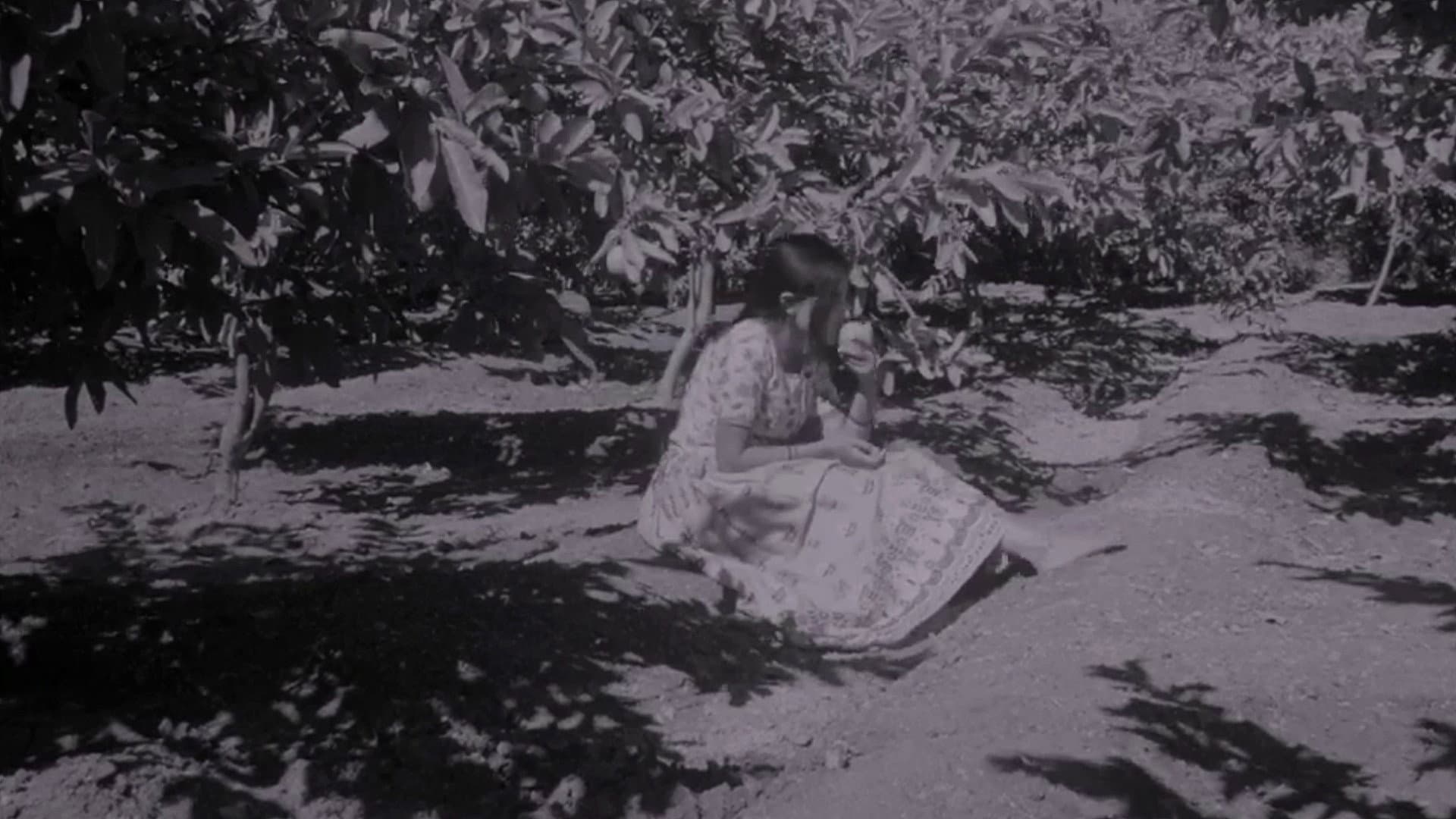 Suman backdrop