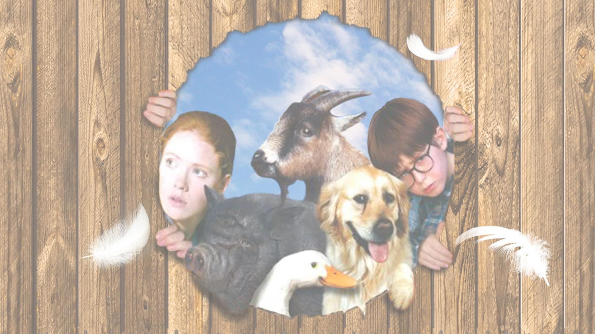 Pets backdrop
