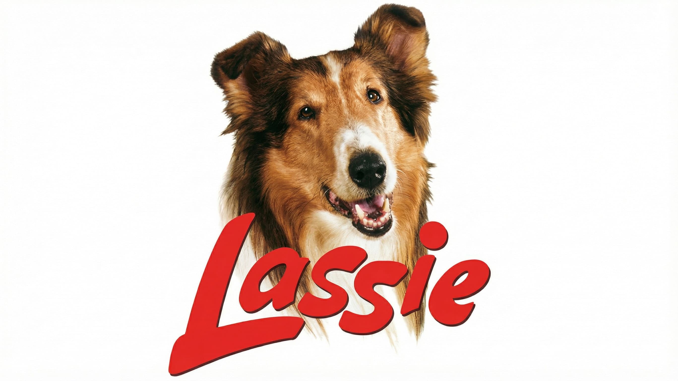 Lassie: Countdown backdrop