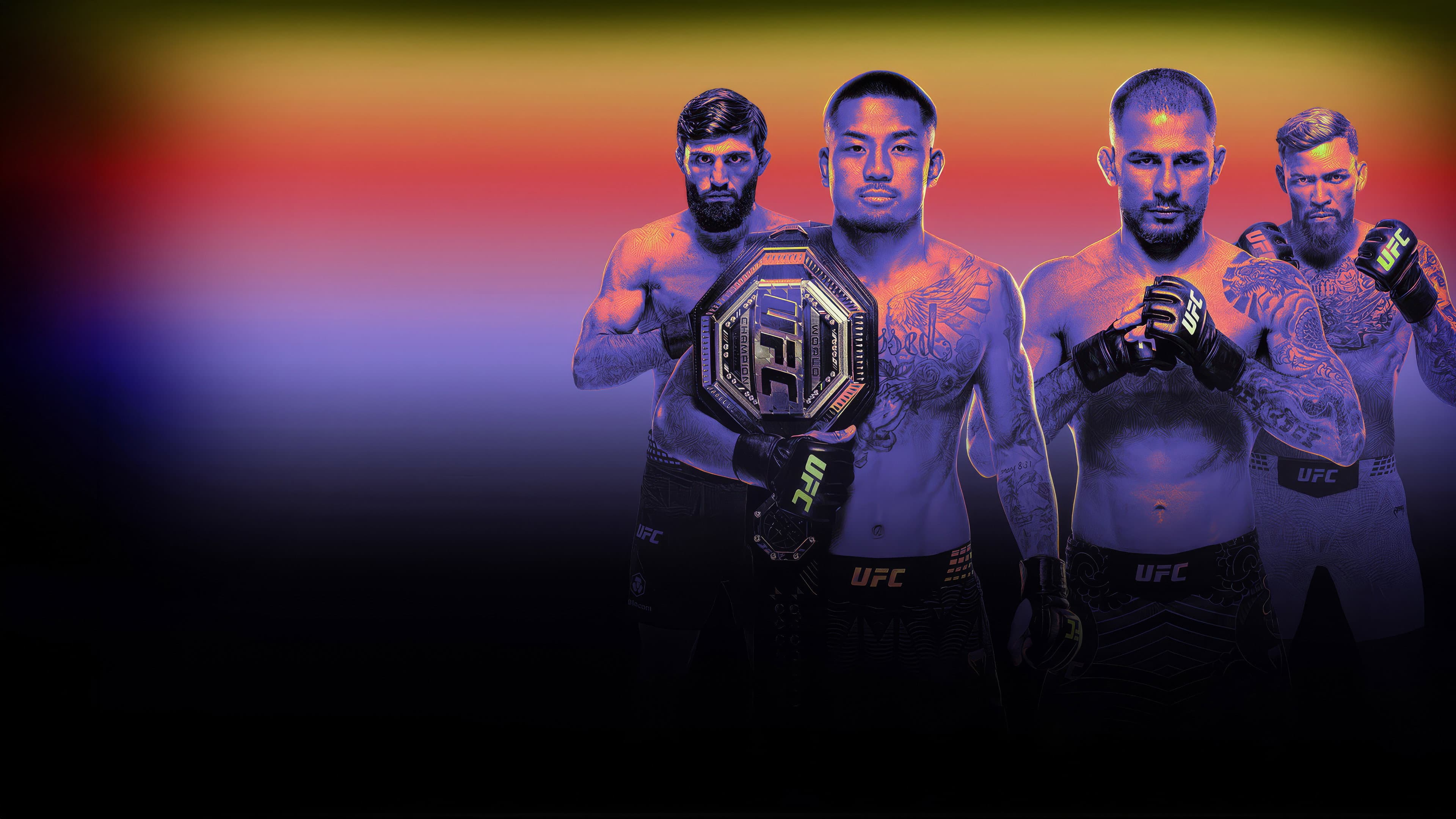 UFC 331: Van vs. Pantoja 2 backdrop