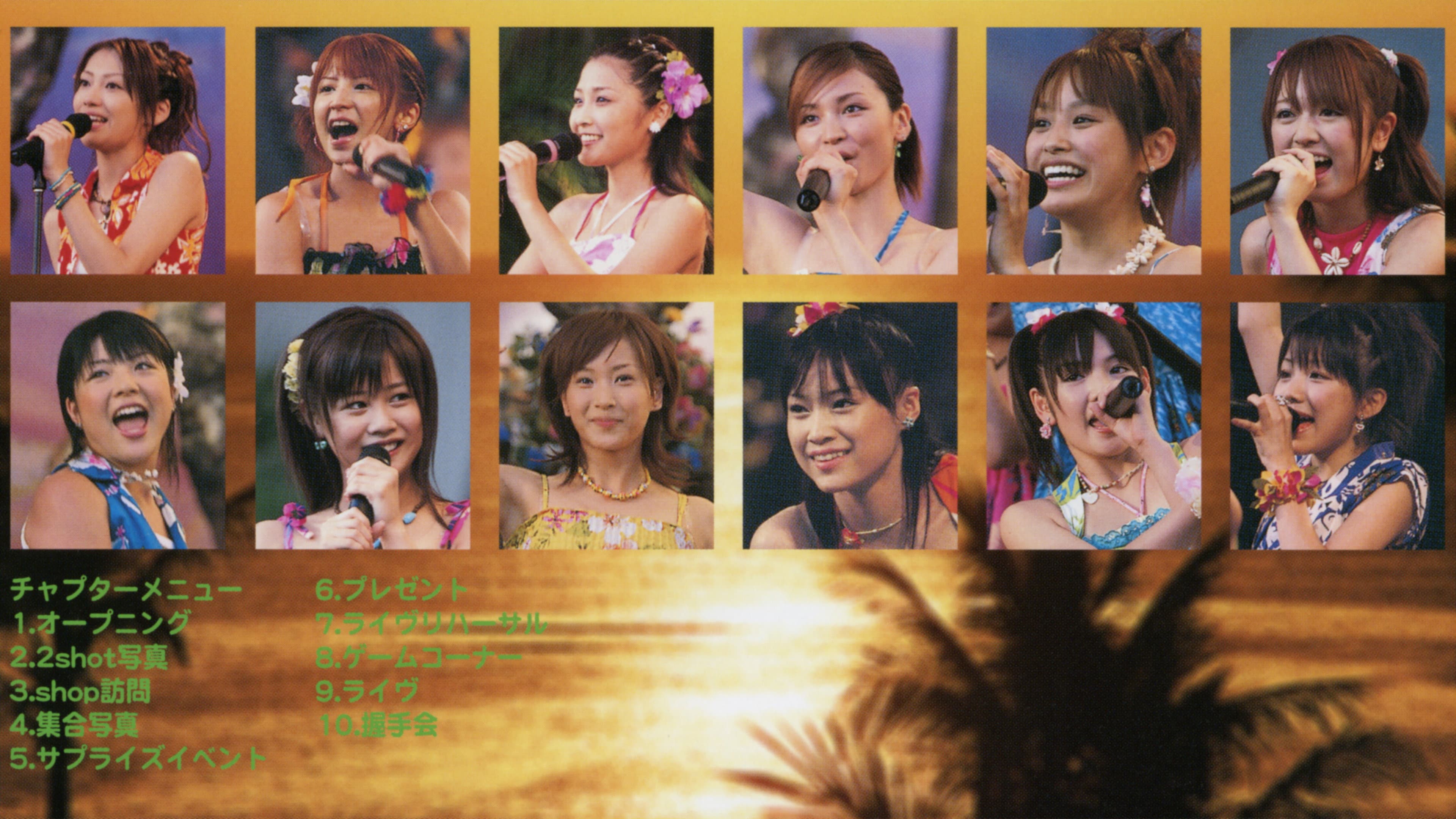 Hawaii FC Tour 2004 ~Morning Musume.~ backdrop