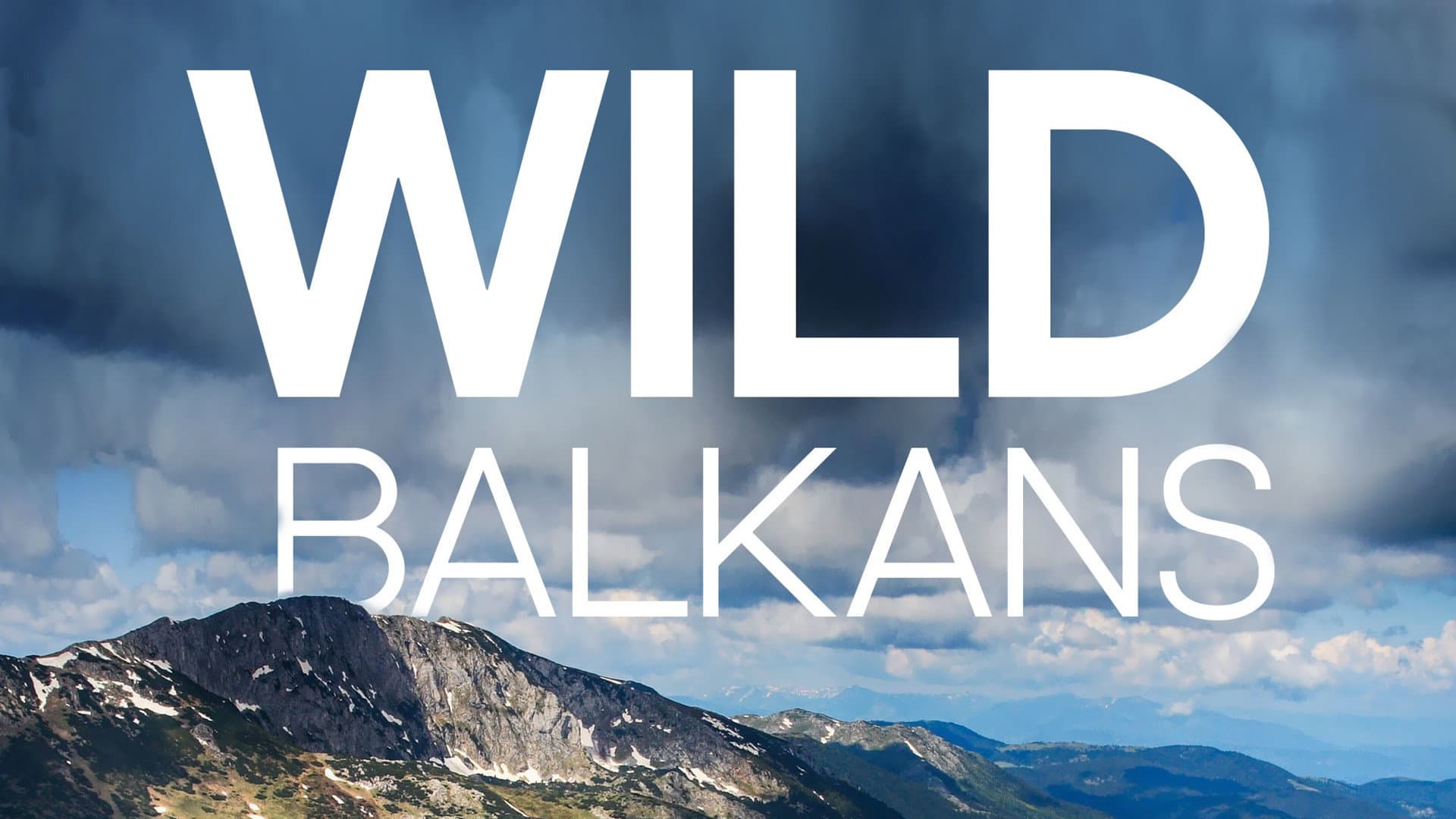 Wild Balkans backdrop
