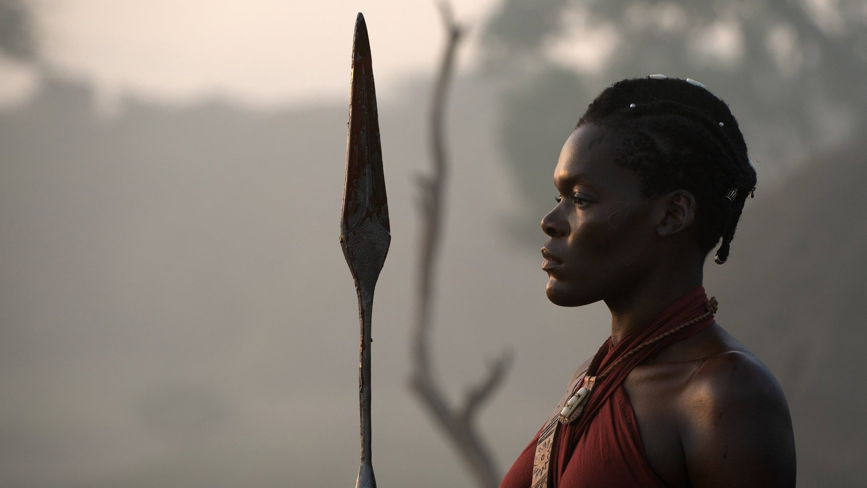 The Woman King backdrop