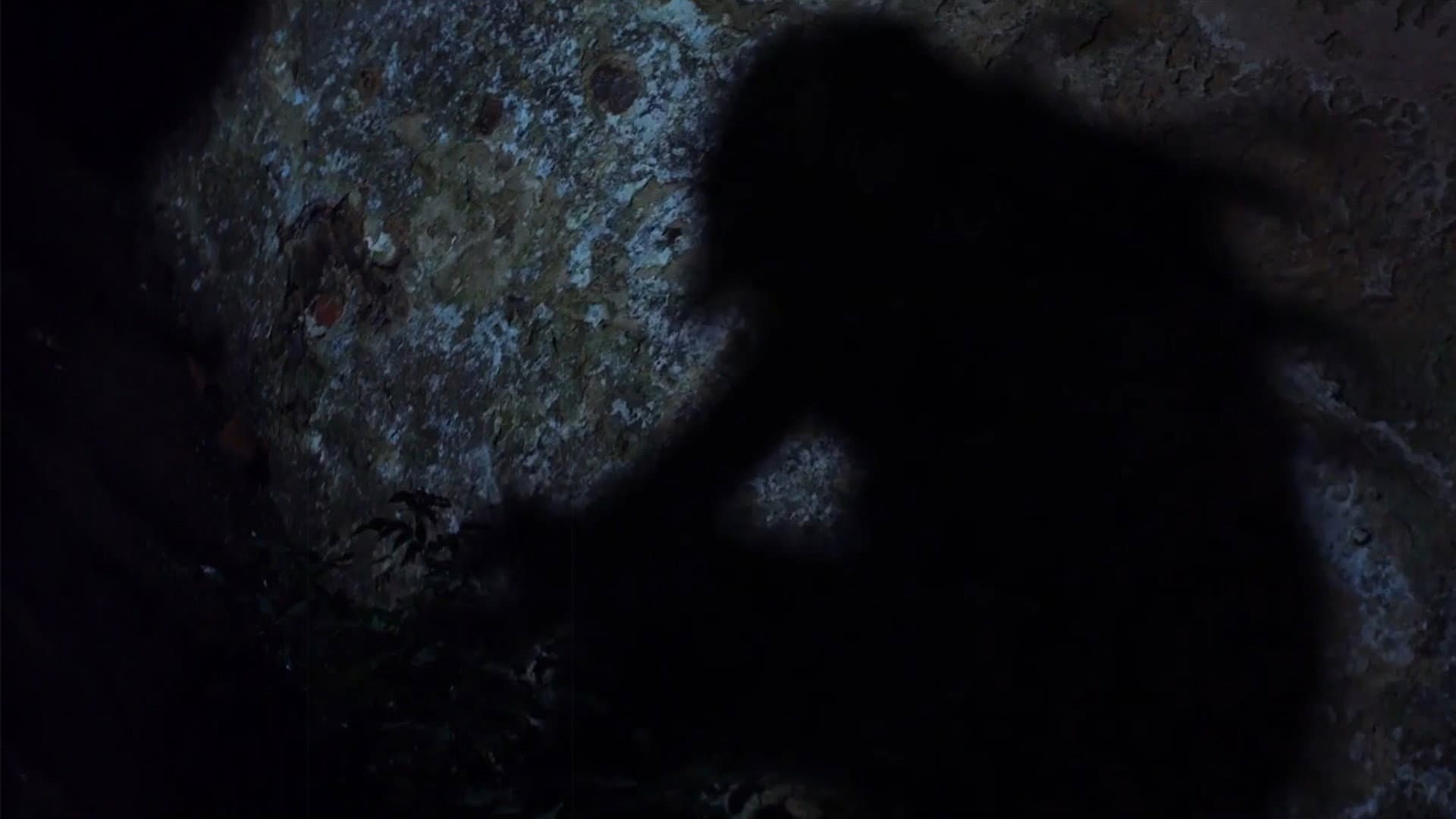 A Dark Path backdrop