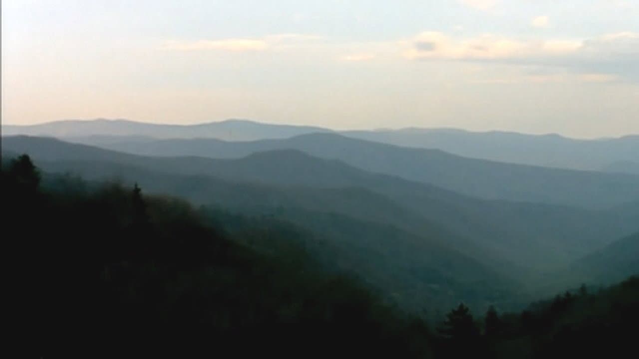 Bigfoot Witness backdrop