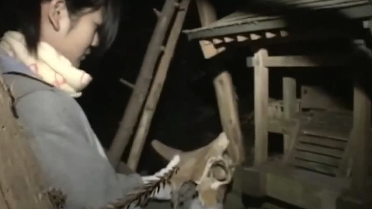 Really! Cursed Video: The Movie 2 backdrop
