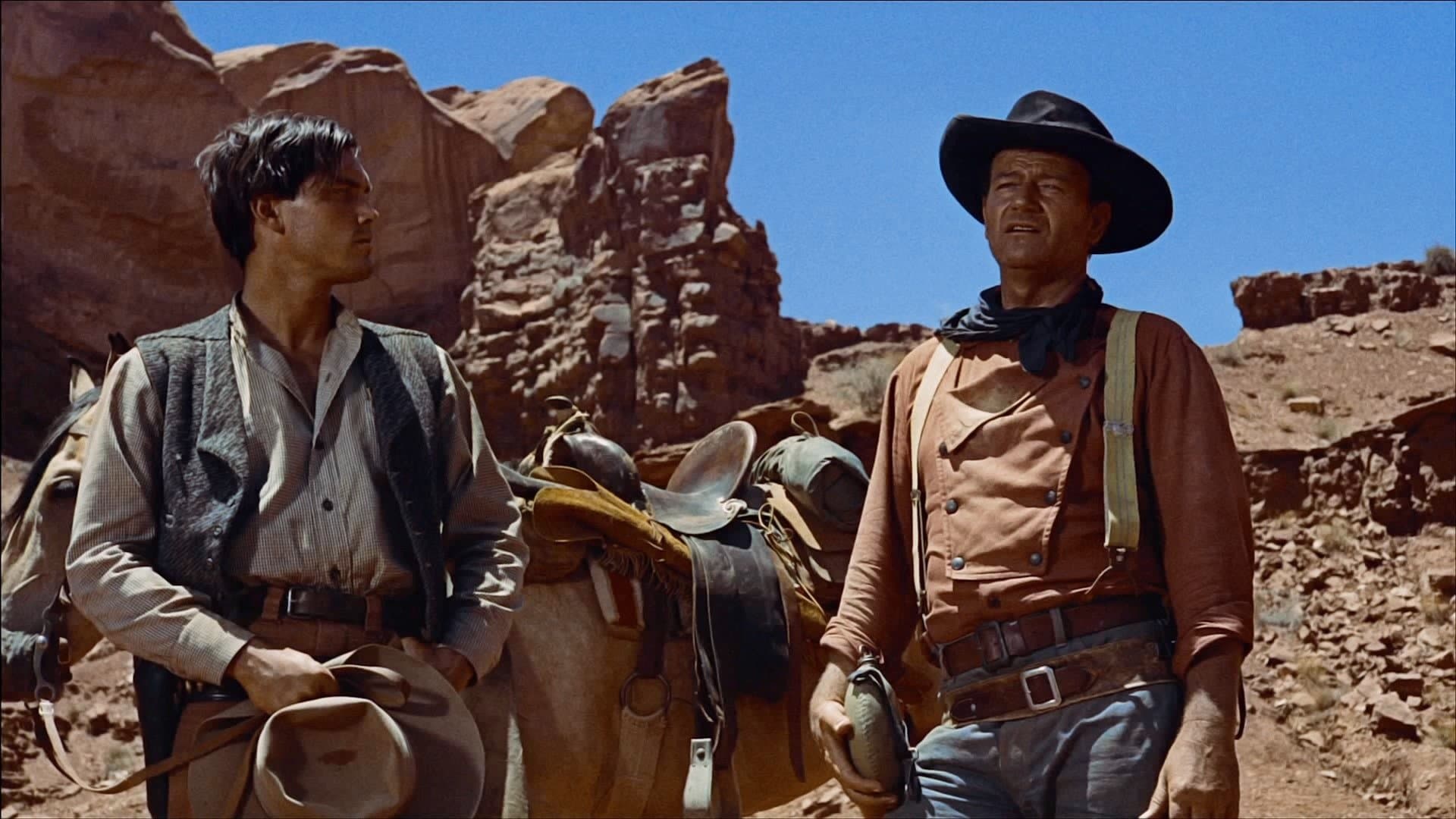 The Searchers backdrop