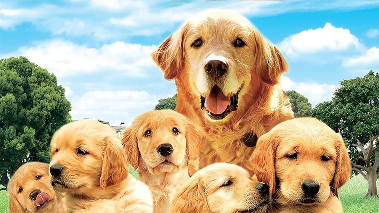 The Retrievers backdrop