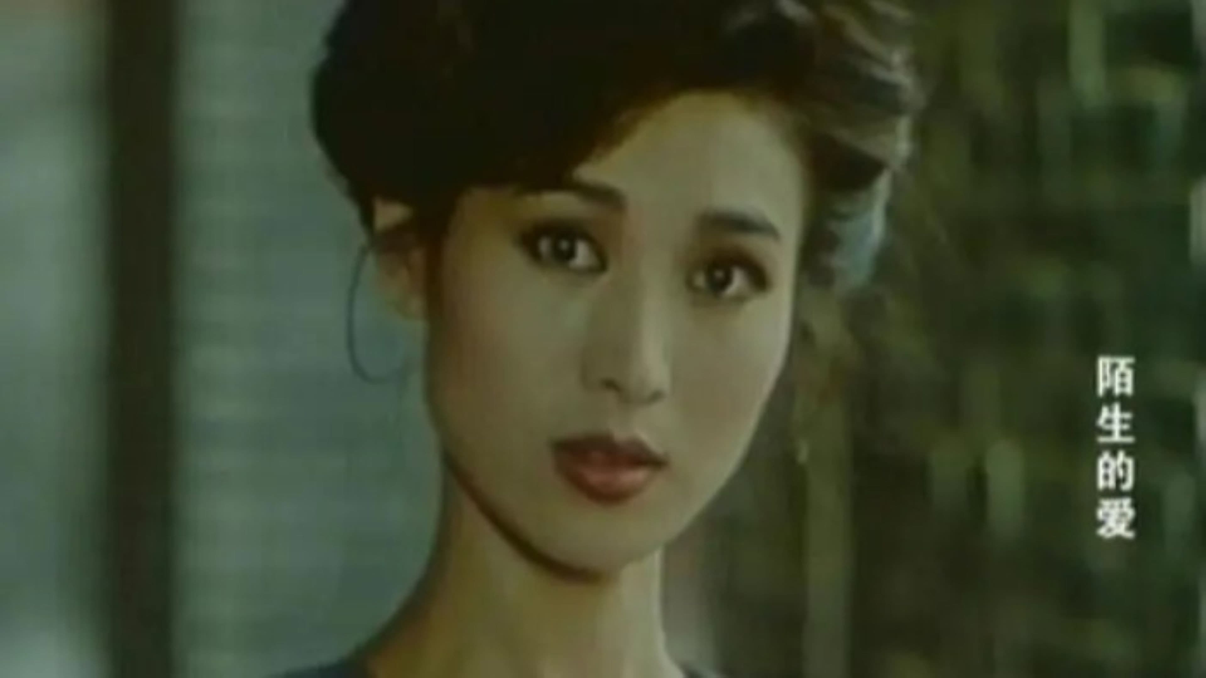 陌生的爱 backdrop