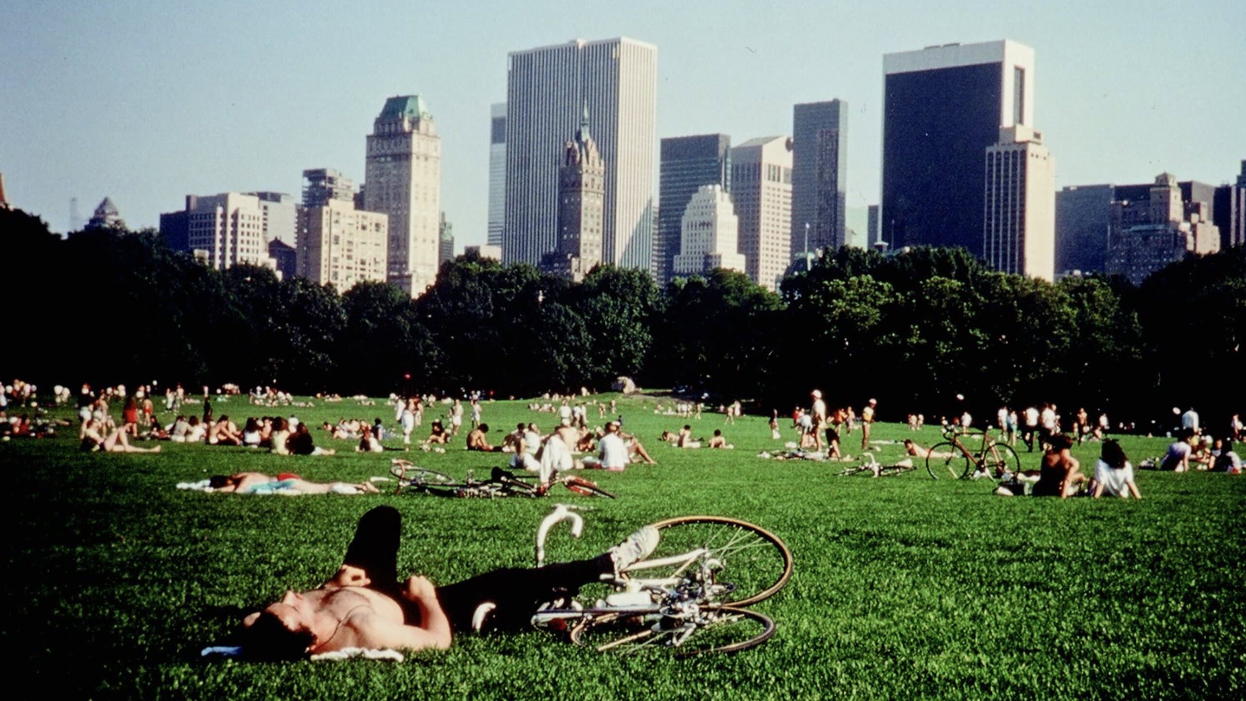 Central Park backdrop