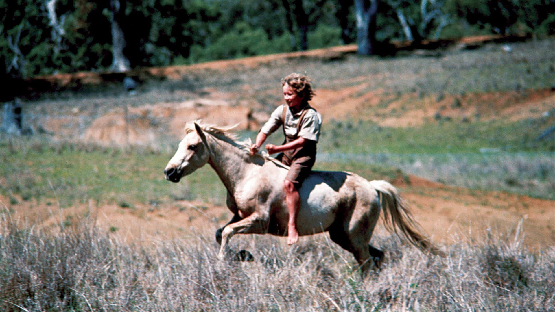 Ride a Wild Pony backdrop
