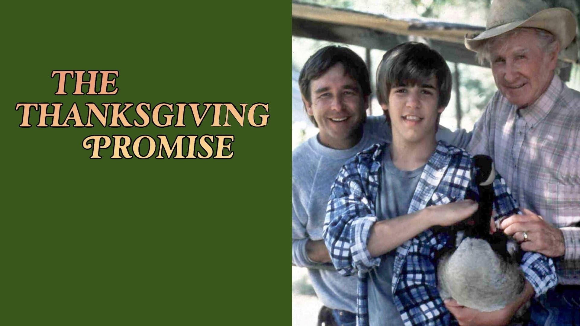 The Thanksgiving Promise backdrop