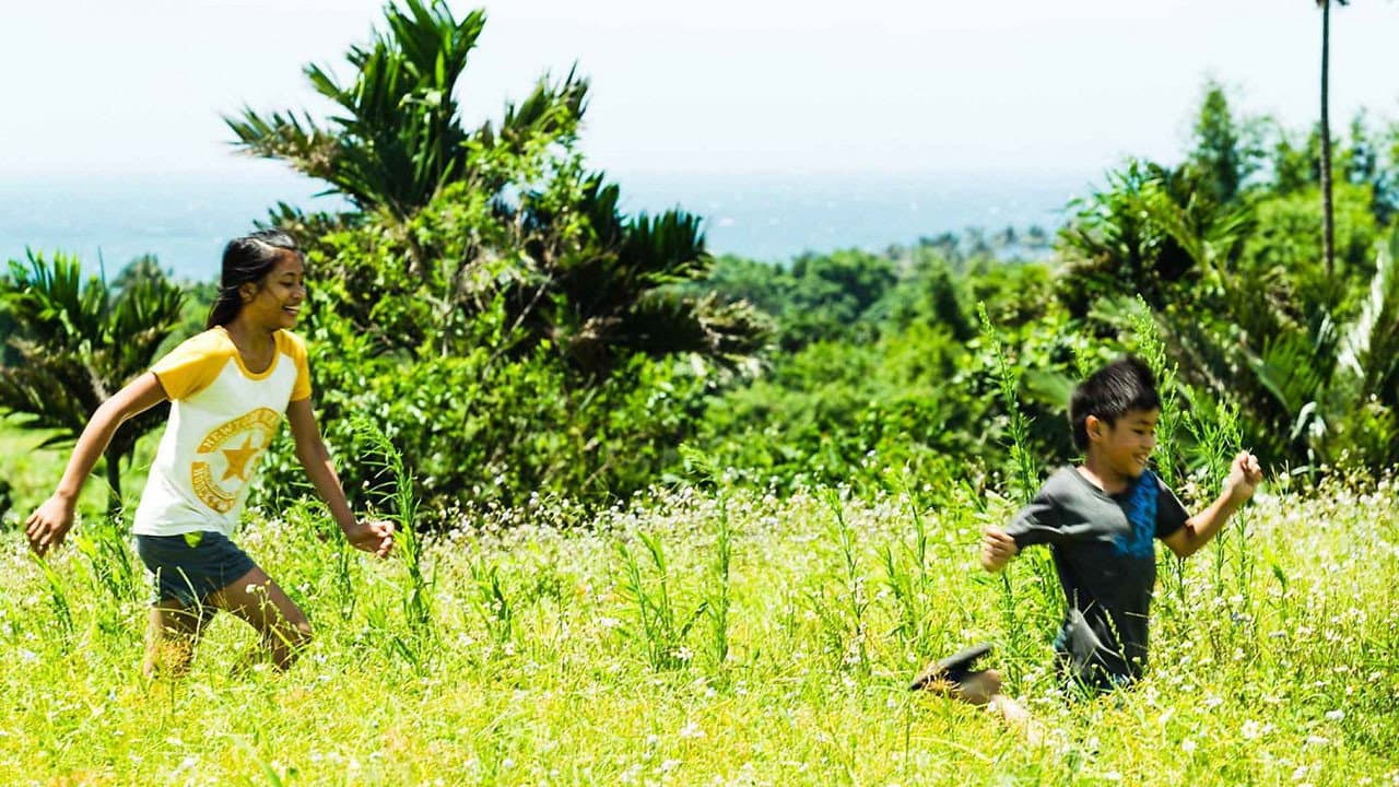 Panay backdrop