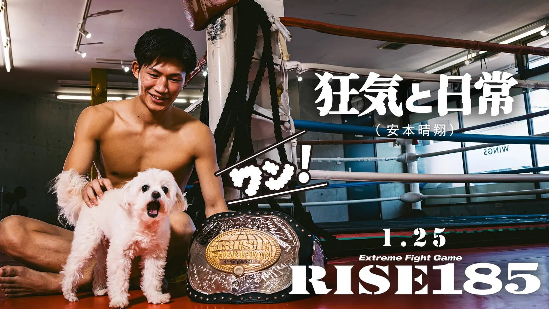 RISE 185 backdrop