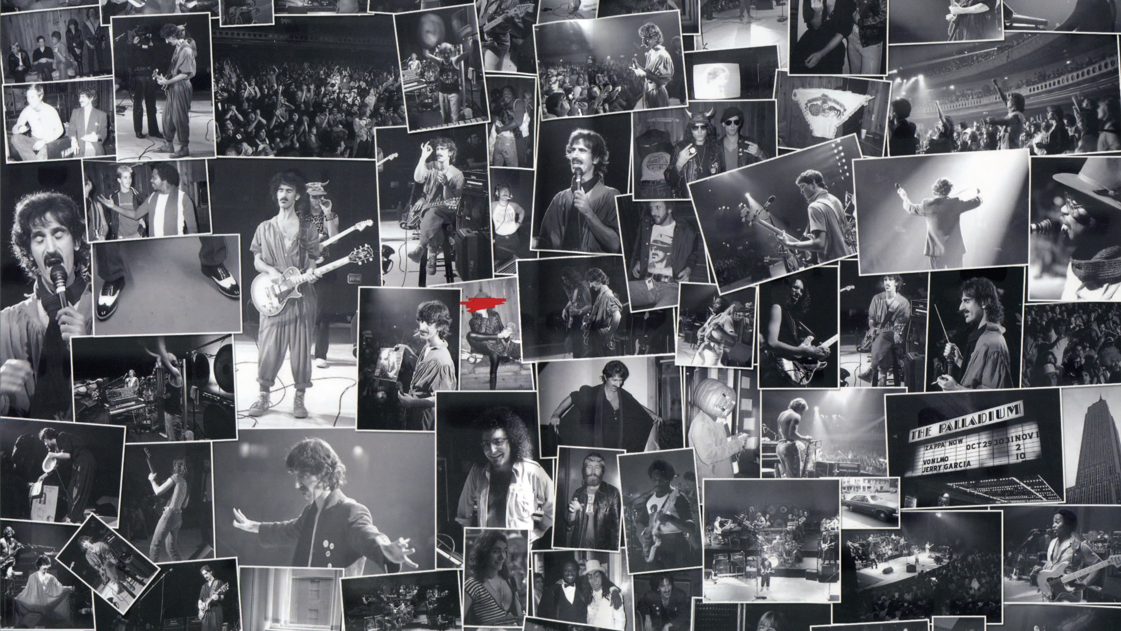 An Evening with Frank Zappa During Which... The Torture Never Stops backdrop
