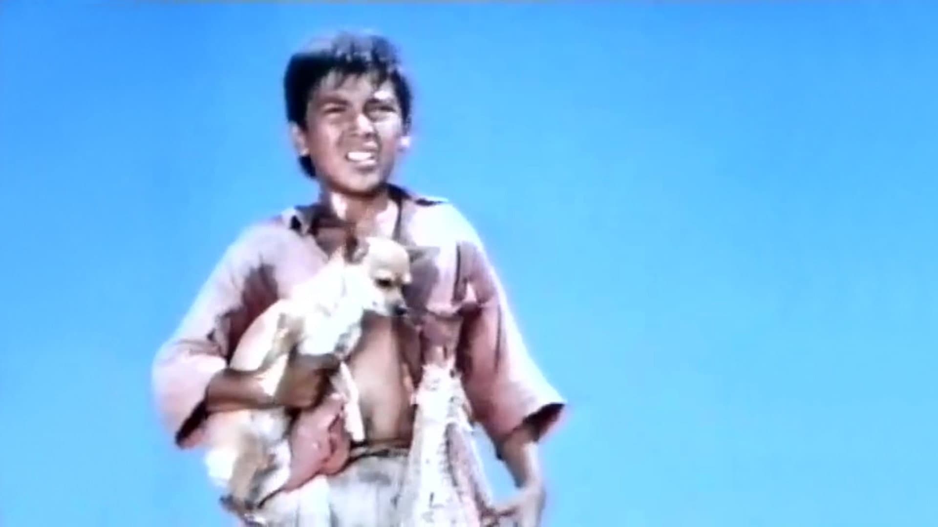 Pablo and the Dancing Chihuahua backdrop