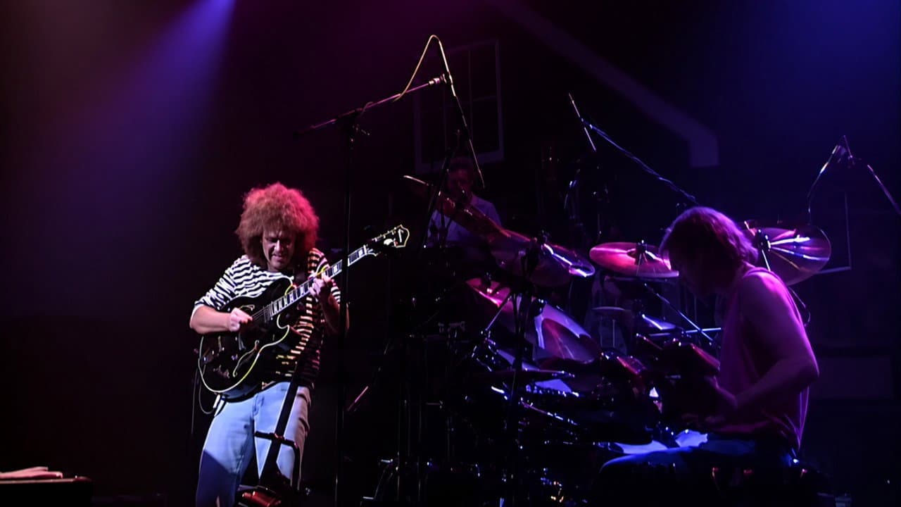 Pat Metheny Group: We Live Here backdrop