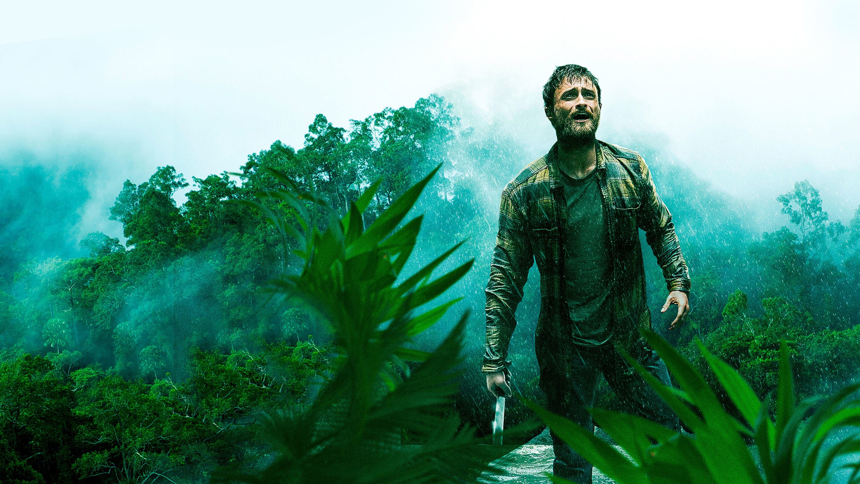 Jungle backdrop