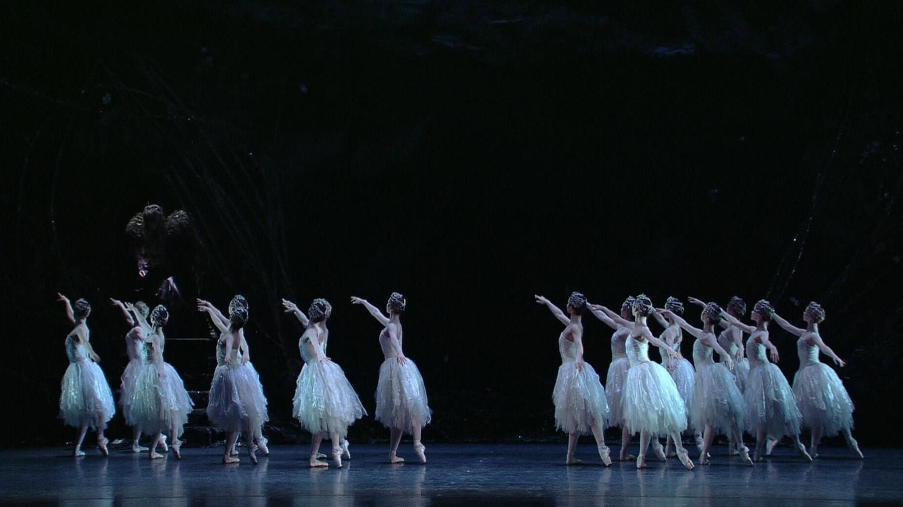 Swan Lake backdrop