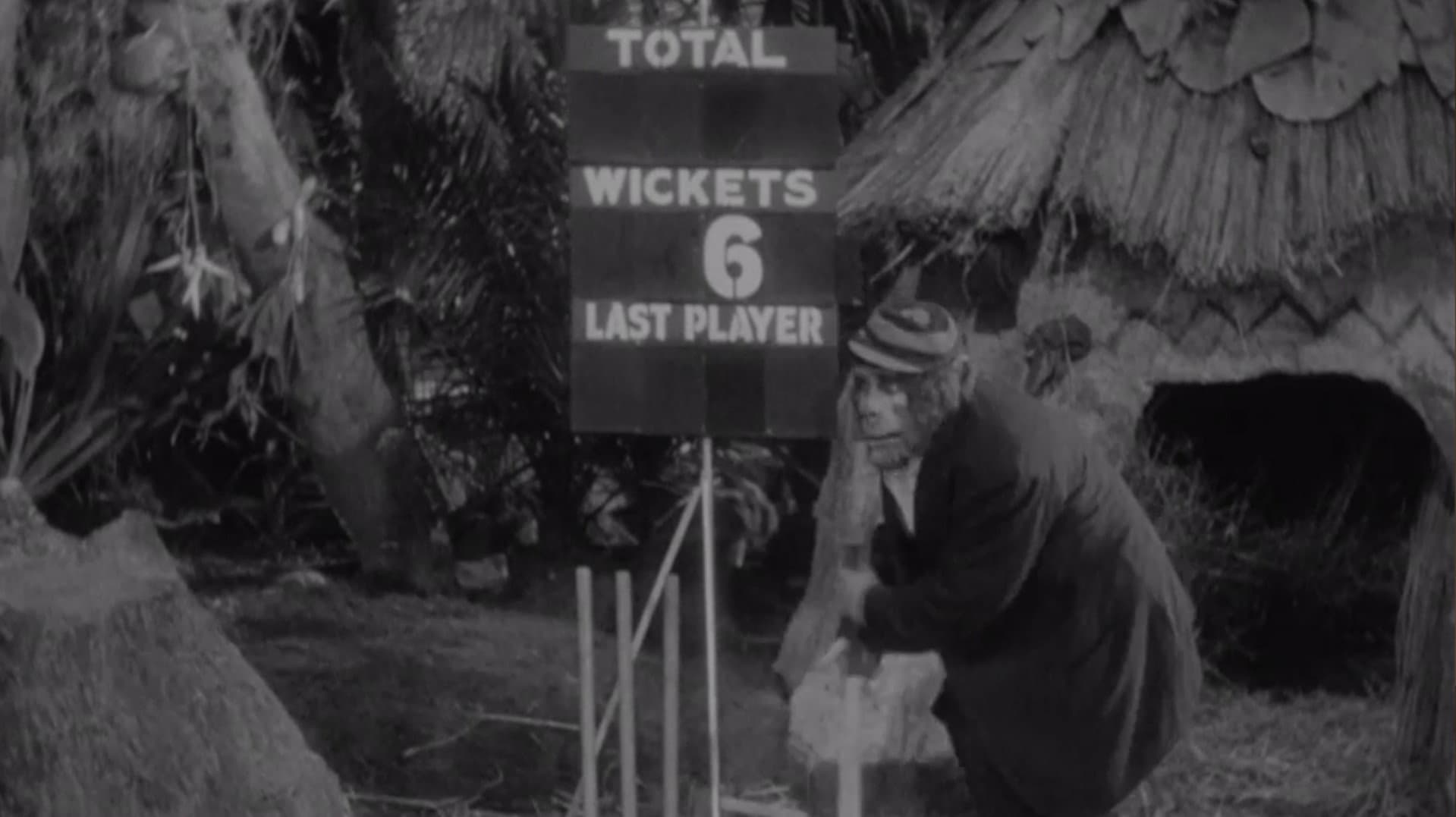 No Monkey Business backdrop