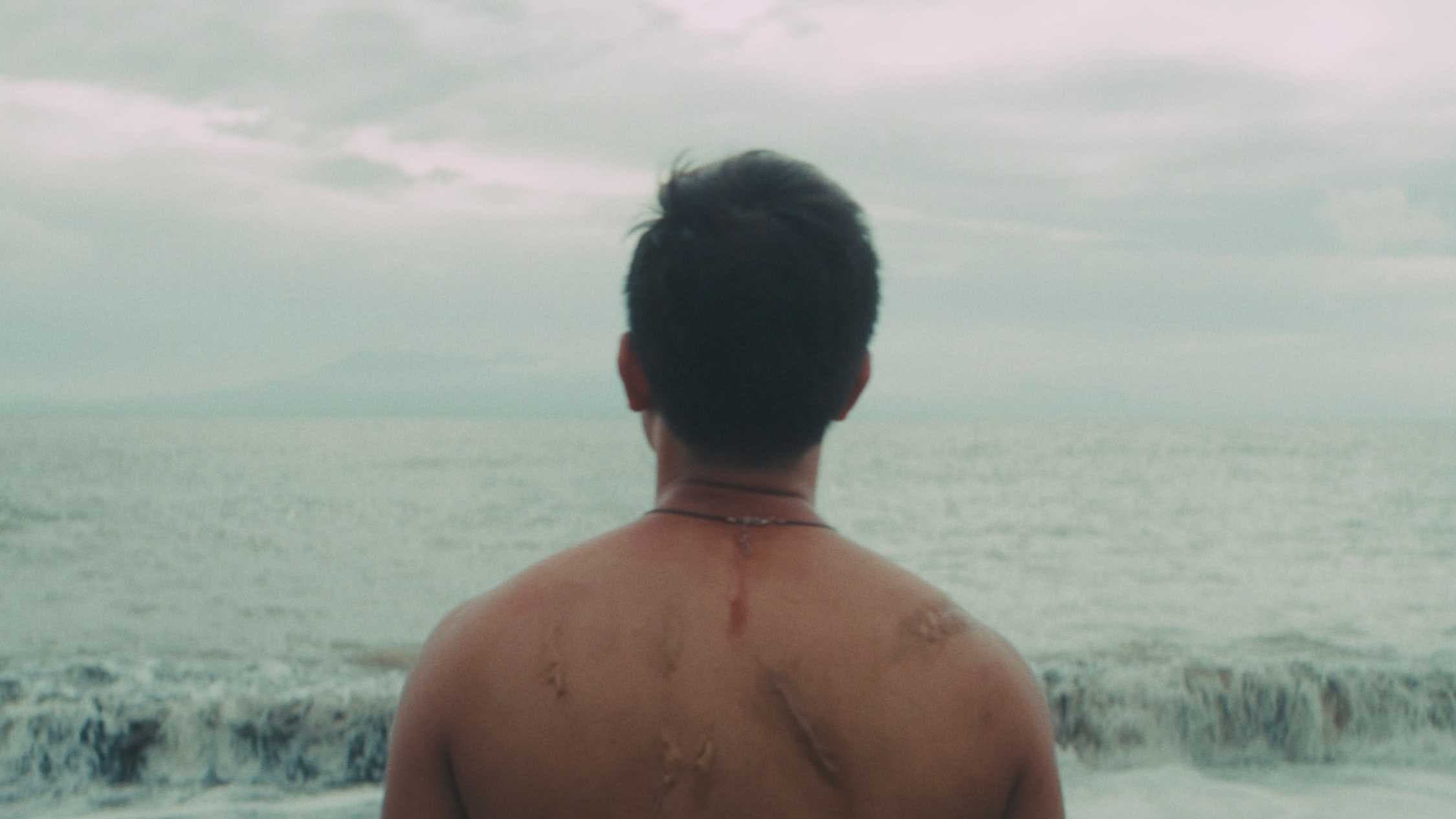 Starfish backdrop