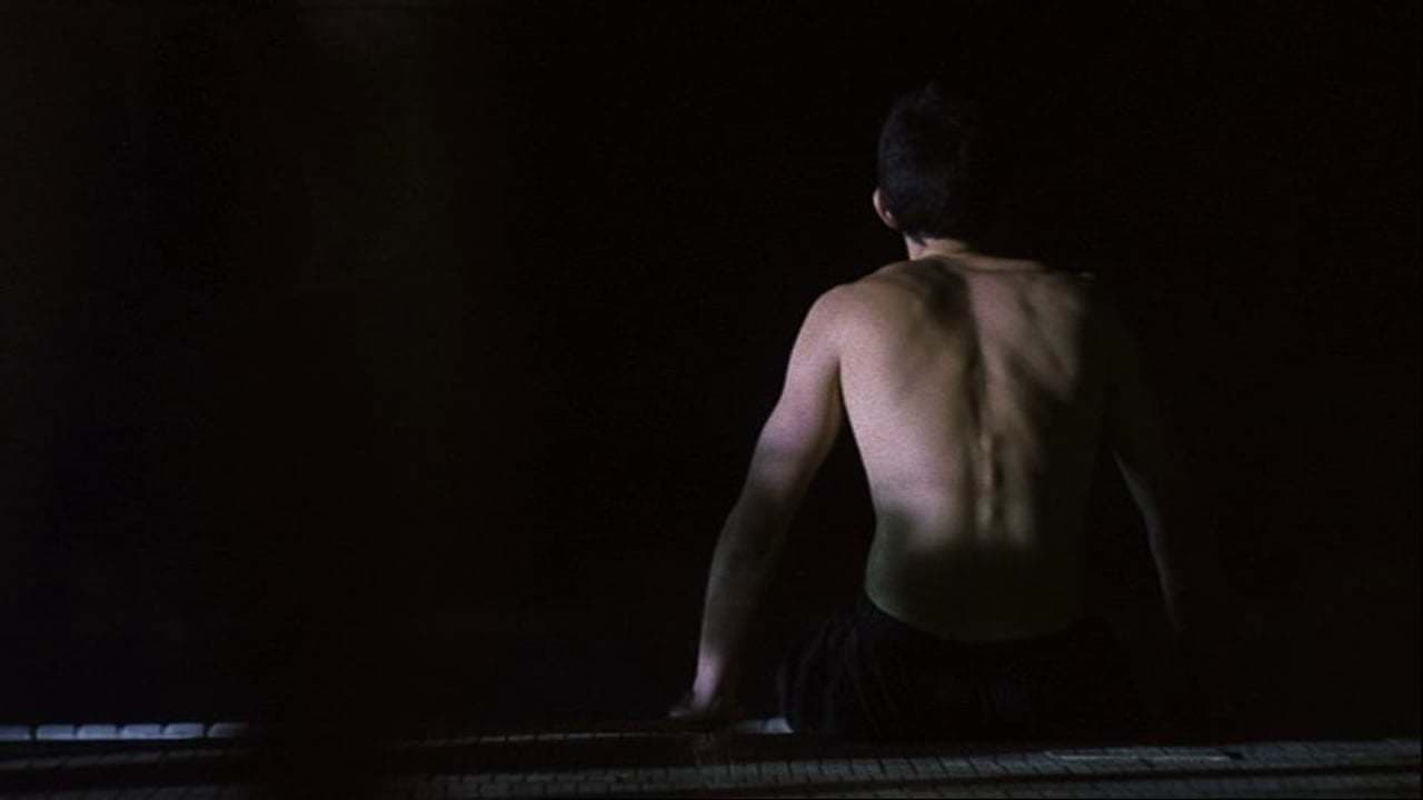 Nightswimming backdrop