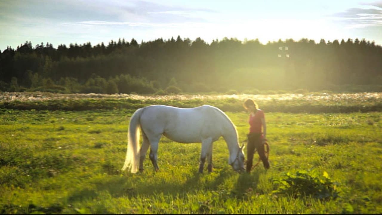 The Art of Communicating with Animals and People backdrop
