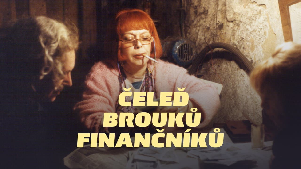 Čeleď brouků finančníků backdrop