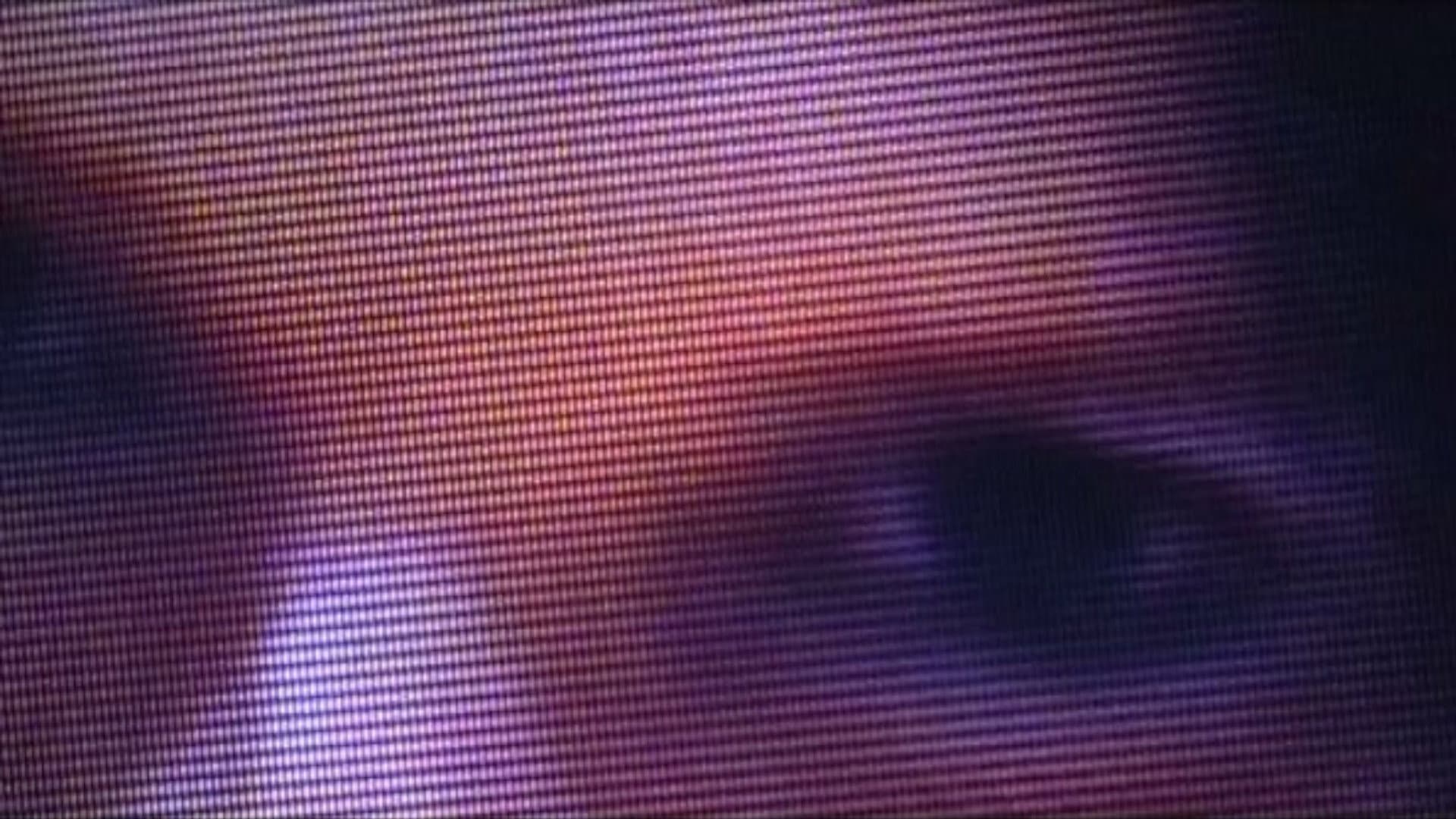 Sam Jackson's Secret Video Diary backdrop
