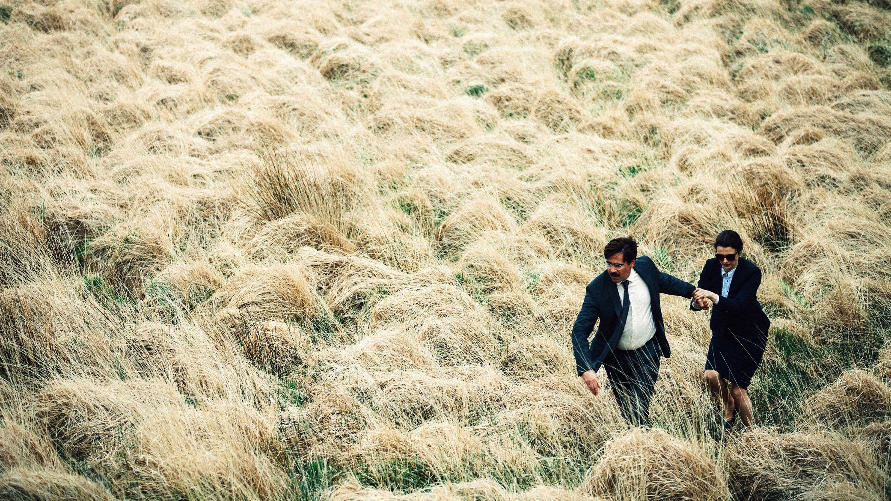The Lobster backdrop