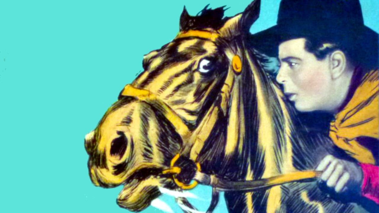 Hey! Hey! Cowboy backdrop