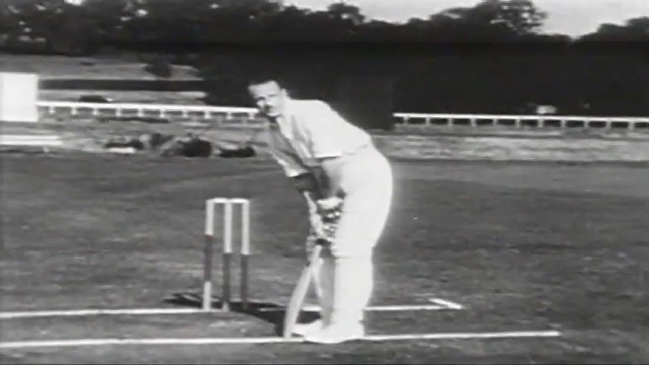 How to Play Cricket backdrop
