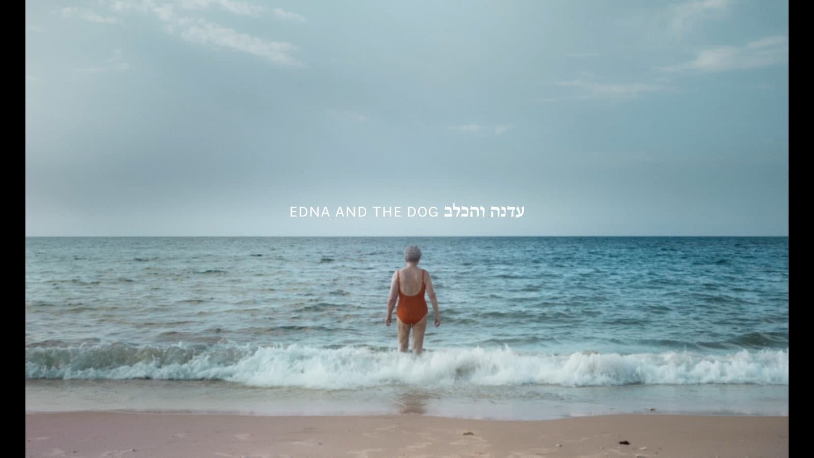 Edna and the Dog backdrop