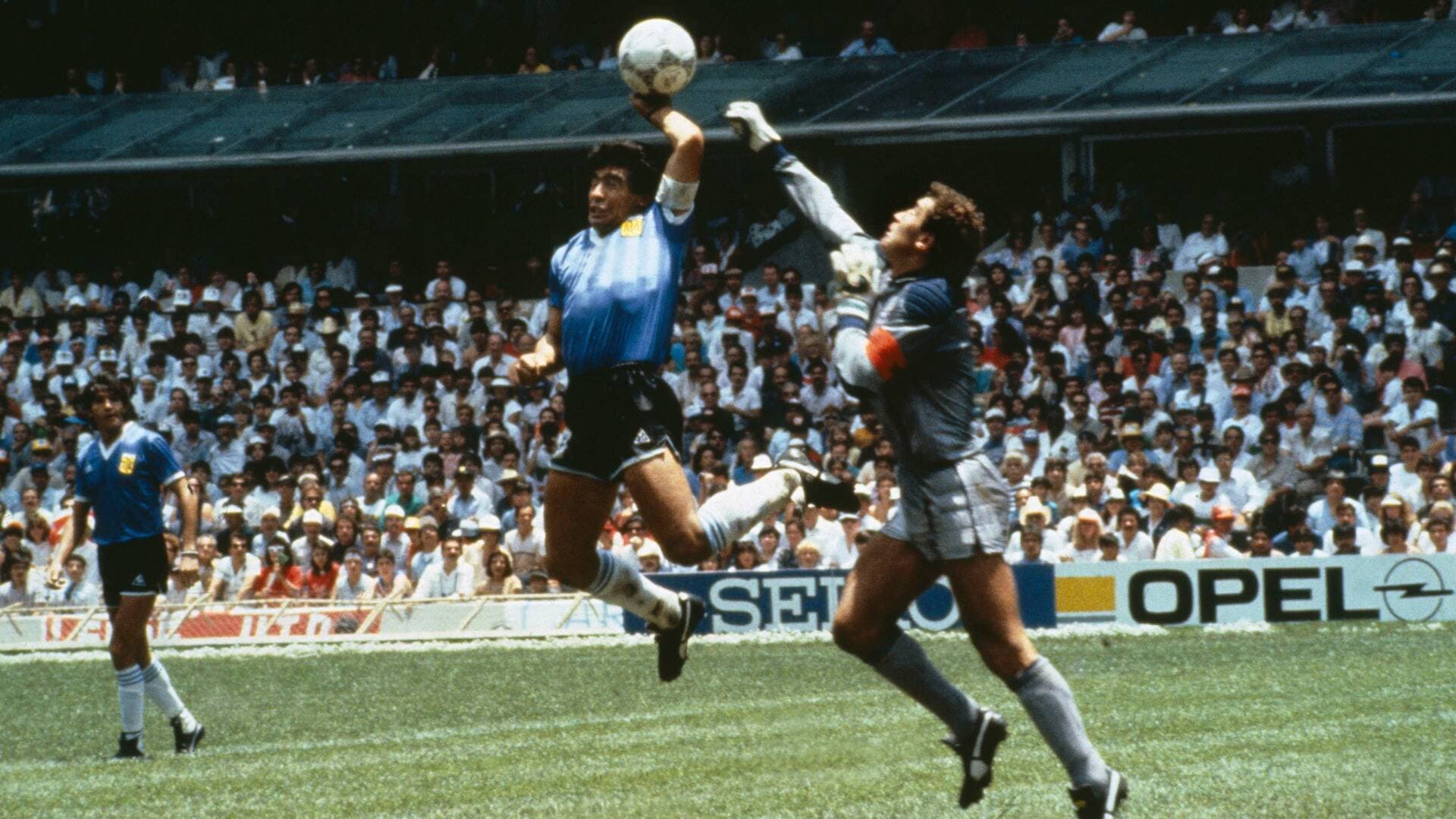 Informe Plus+. México 86 cuando Maradona se hizo D10S backdrop