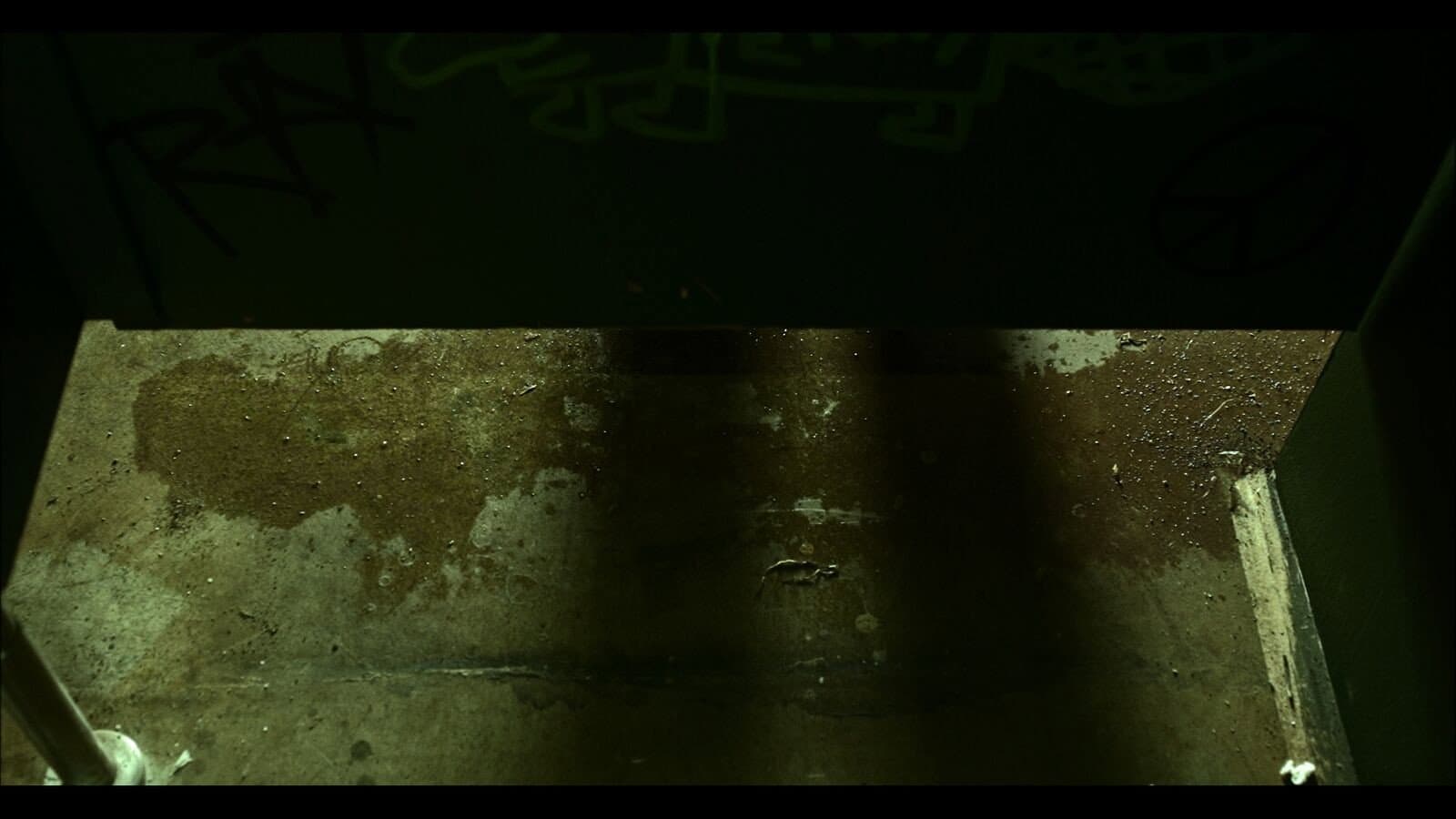 MOANS backdrop