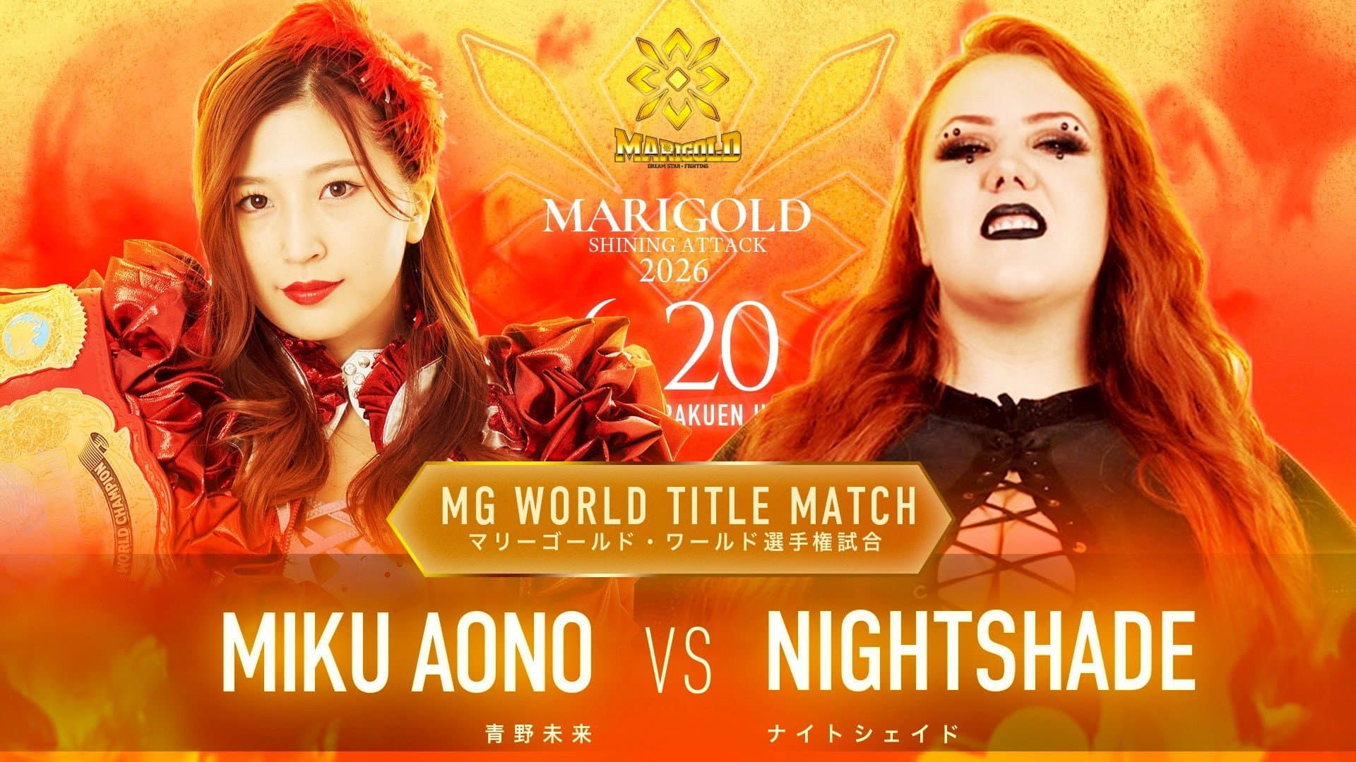 Marigold Shining Attack 2026 ~ Day 14 backdrop