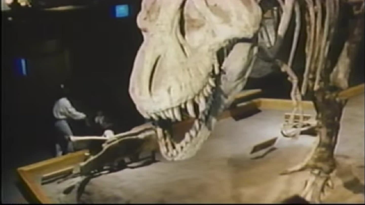 The Real Jurassic Park backdrop