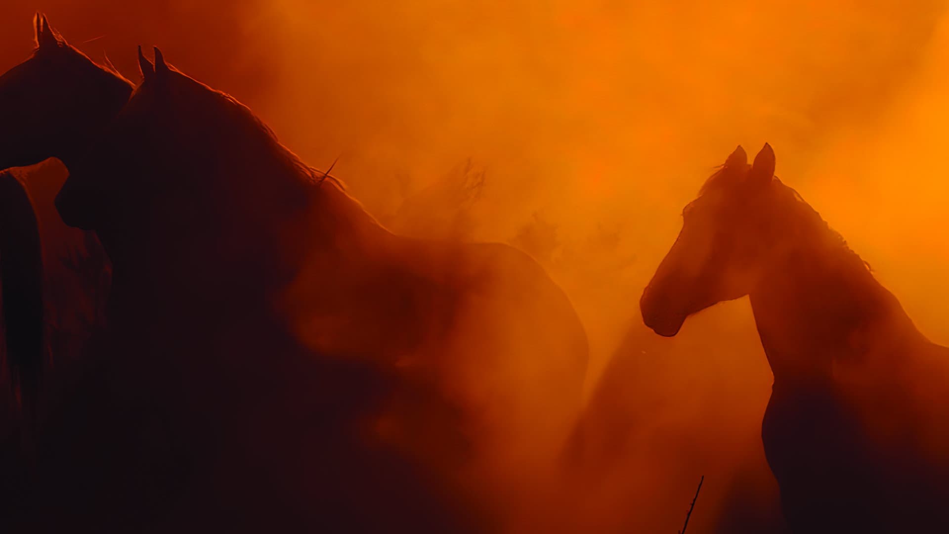 Wild Beauty: Mustang Spirit of the West backdrop