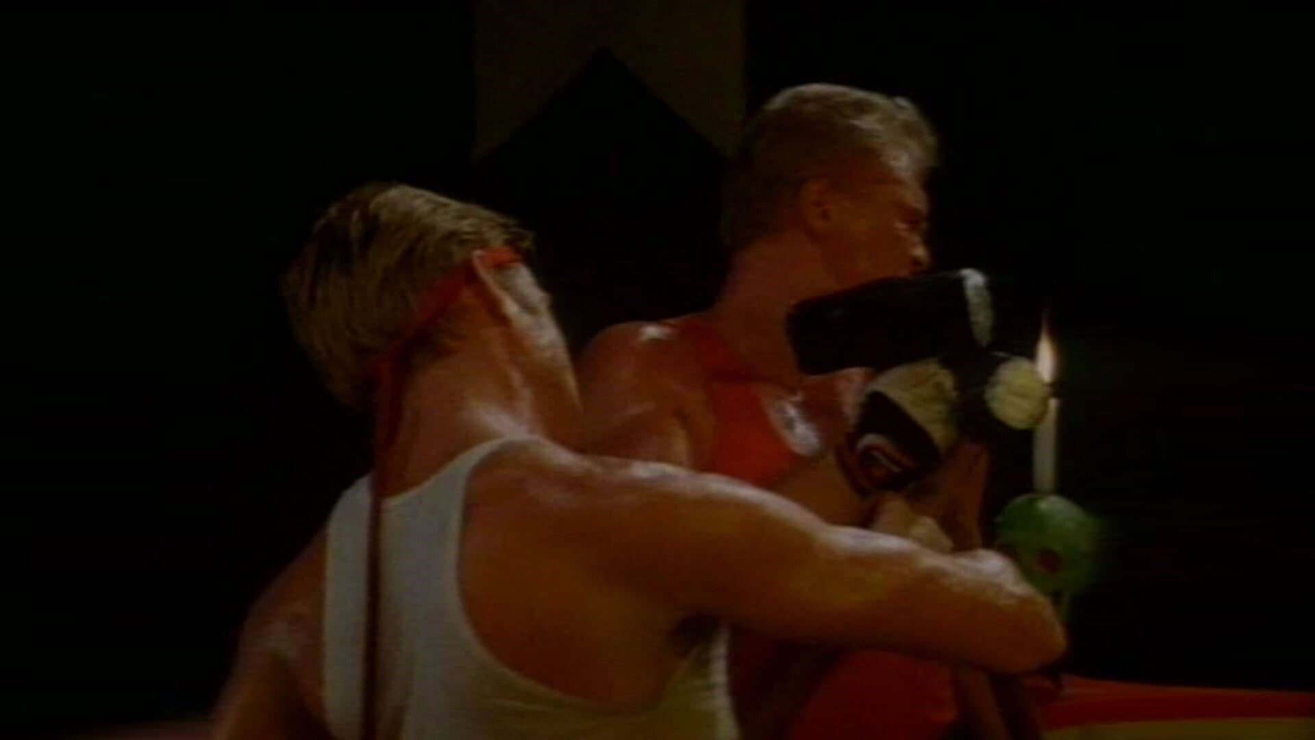 Zodiac Power 3: Kickboxer from Hell backdrop