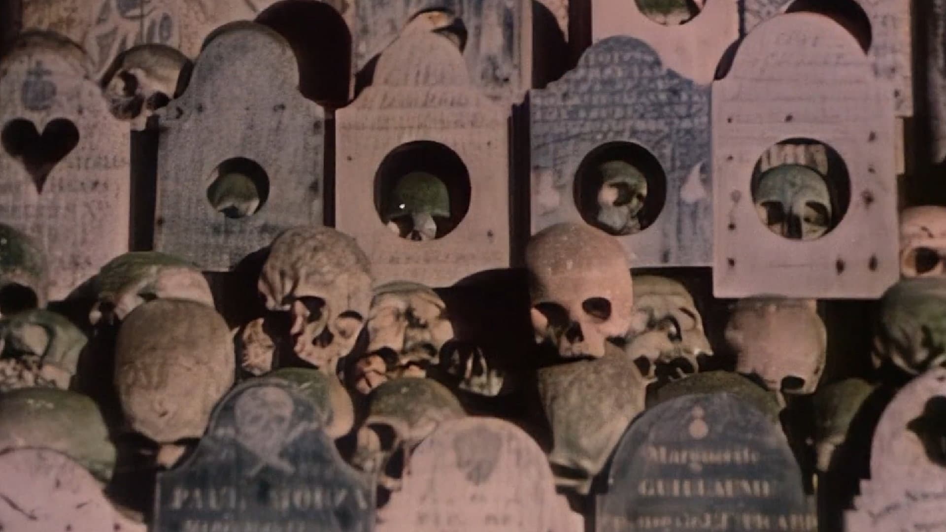Faces of Death II backdrop