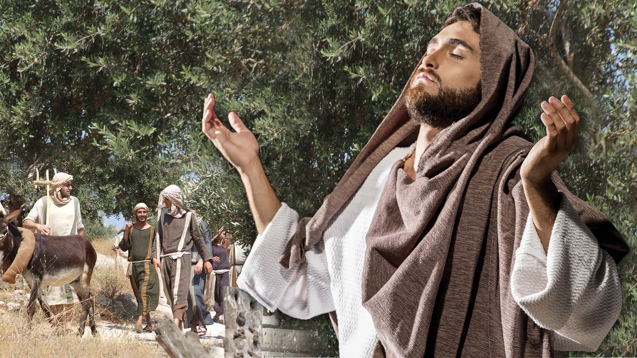 Where Jesus Walked backdrop