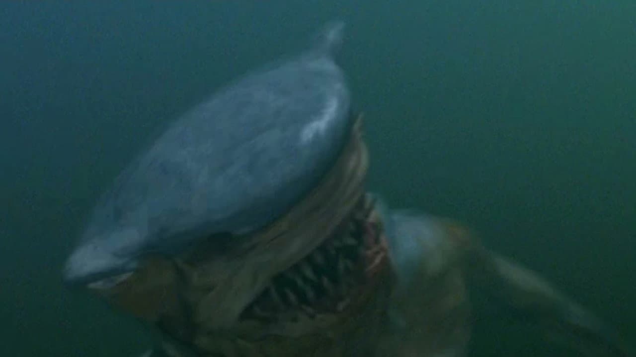 Hammerhead backdrop