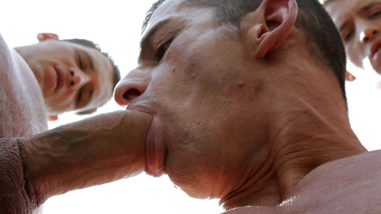 Breeding The Twinks 9 backdrop