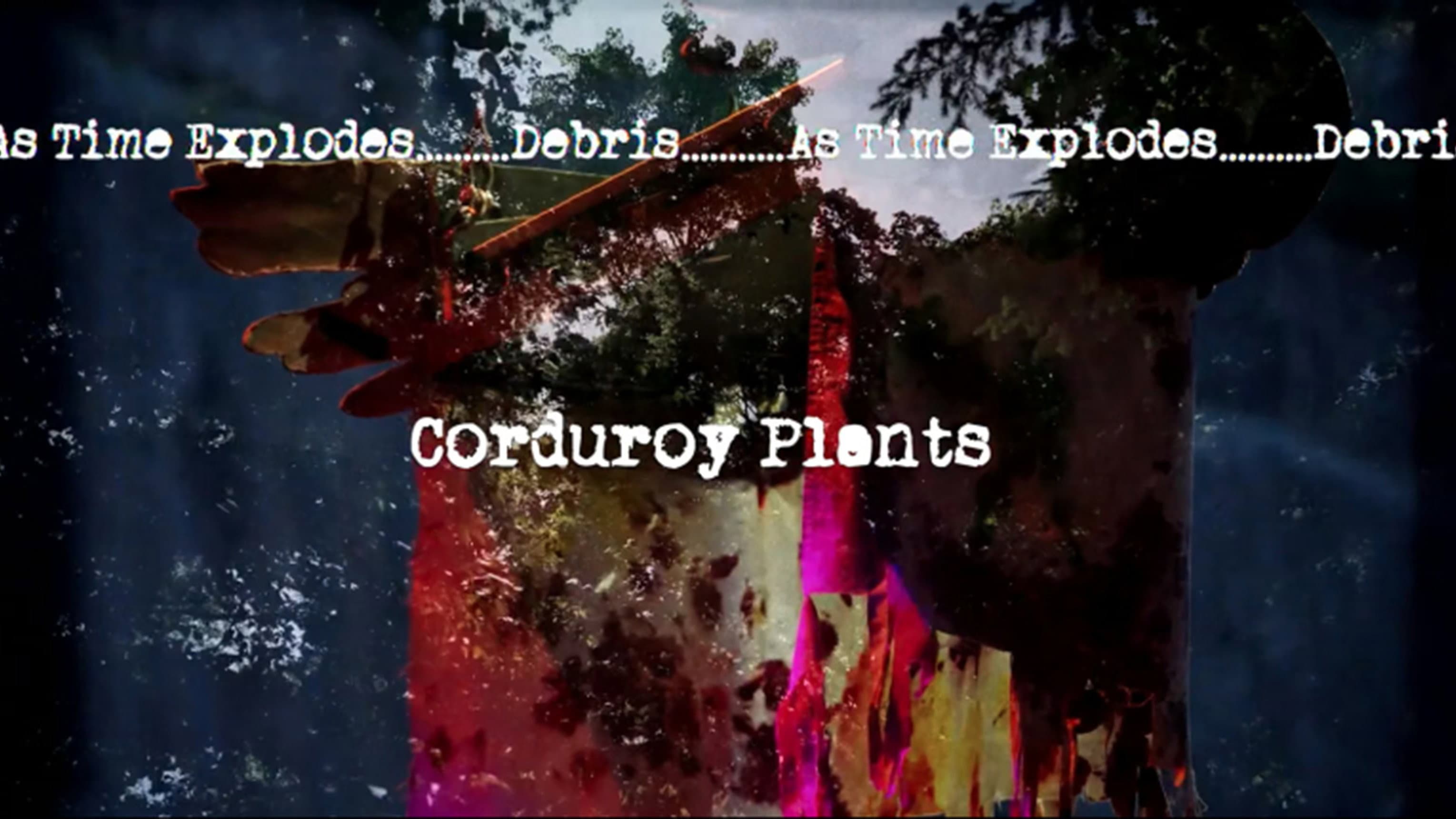 Corduroy Plants backdrop