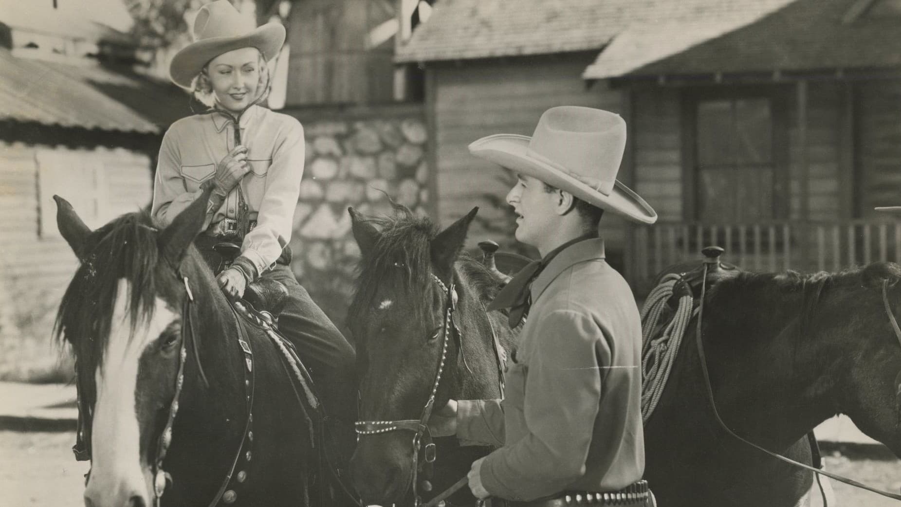 Rawhide backdrop