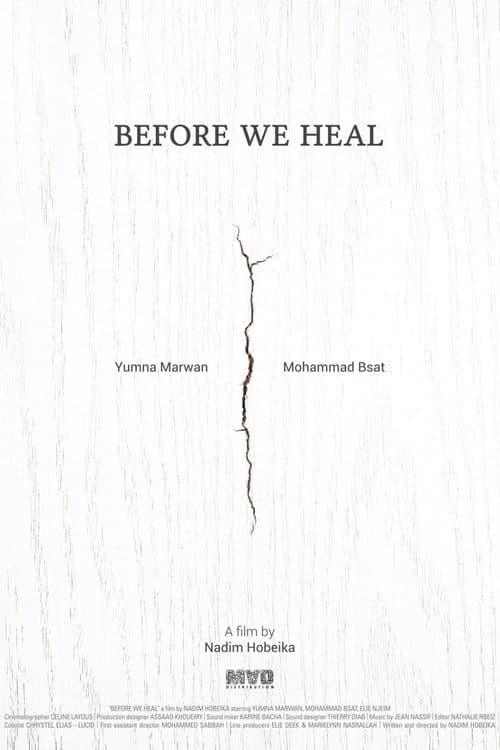 Before We Heal